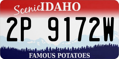 ID license plate 2P9172W