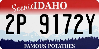 ID license plate 2P9172Y