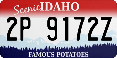 ID license plate 2P9172Z