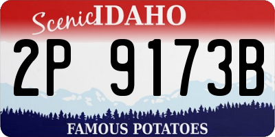 ID license plate 2P9173B