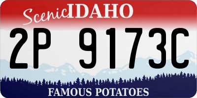 ID license plate 2P9173C
