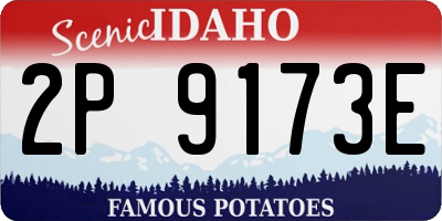 ID license plate 2P9173E