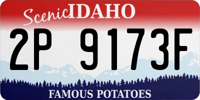ID license plate 2P9173F