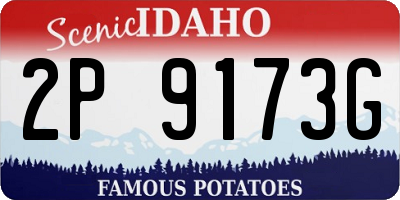 ID license plate 2P9173G