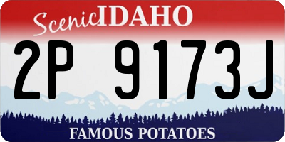 ID license plate 2P9173J
