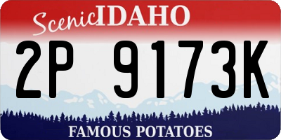 ID license plate 2P9173K