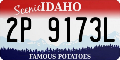 ID license plate 2P9173L