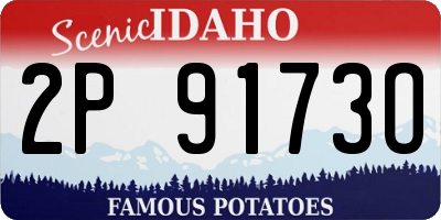 ID license plate 2P9173O