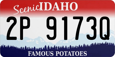 ID license plate 2P9173Q