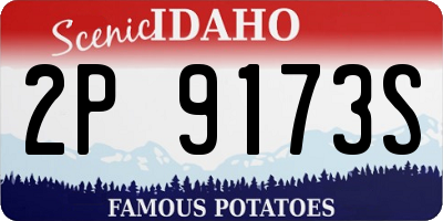 ID license plate 2P9173S