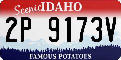 ID license plate 2P9173V