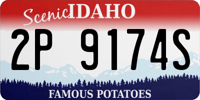 ID license plate 2P9174S