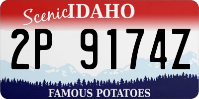 ID license plate 2P9174Z