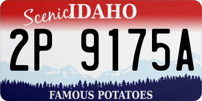 ID license plate 2P9175A