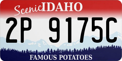 ID license plate 2P9175C