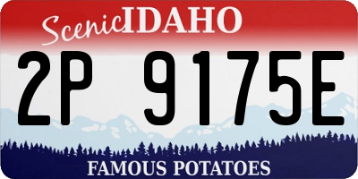 ID license plate 2P9175E