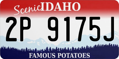 ID license plate 2P9175J