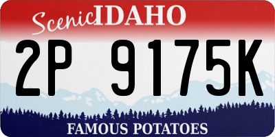 ID license plate 2P9175K