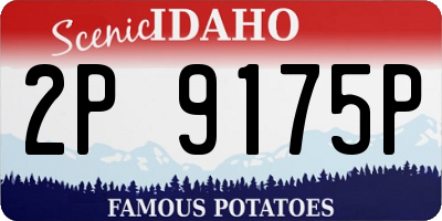 ID license plate 2P9175P