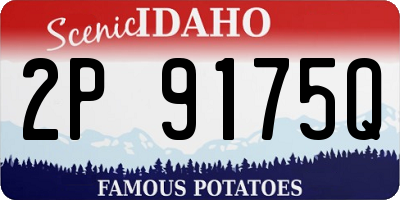 ID license plate 2P9175Q