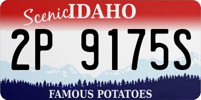 ID license plate 2P9175S