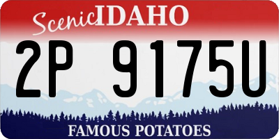 ID license plate 2P9175U