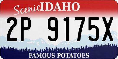 ID license plate 2P9175X