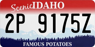 ID license plate 2P9175Z