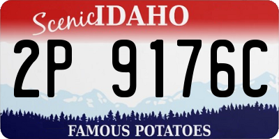 ID license plate 2P9176C