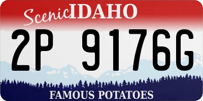ID license plate 2P9176G