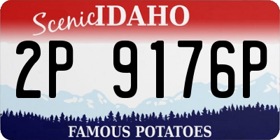 ID license plate 2P9176P