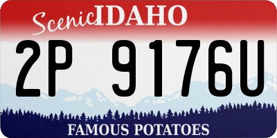 ID license plate 2P9176U