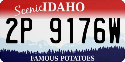 ID license plate 2P9176W