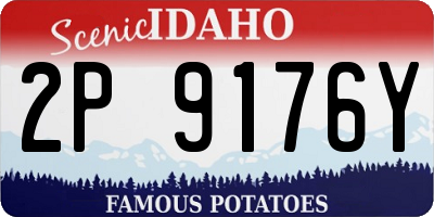 ID license plate 2P9176Y
