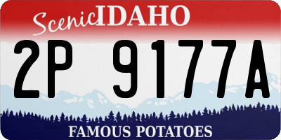 ID license plate 2P9177A