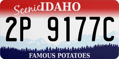 ID license plate 2P9177C