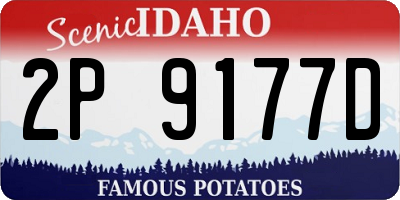 ID license plate 2P9177D