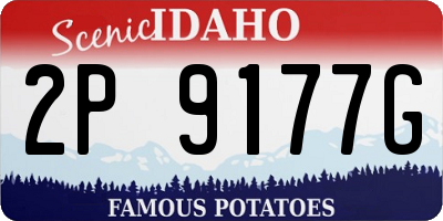 ID license plate 2P9177G