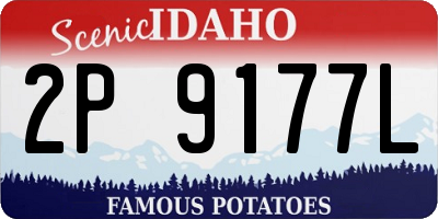 ID license plate 2P9177L