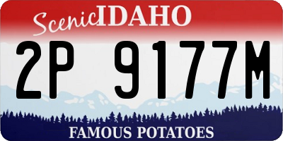 ID license plate 2P9177M