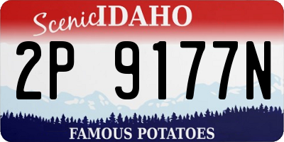 ID license plate 2P9177N