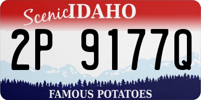 ID license plate 2P9177Q