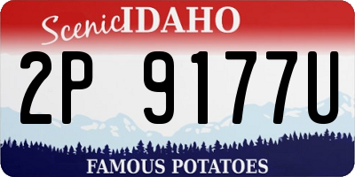 ID license plate 2P9177U