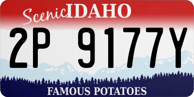 ID license plate 2P9177Y