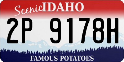 ID license plate 2P9178H