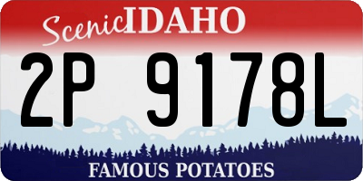 ID license plate 2P9178L