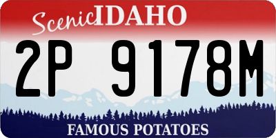 ID license plate 2P9178M