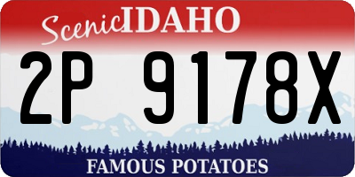 ID license plate 2P9178X