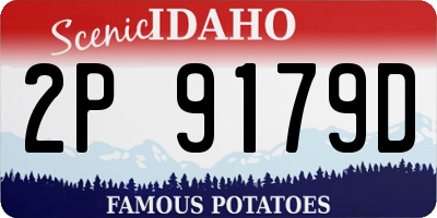 ID license plate 2P9179D