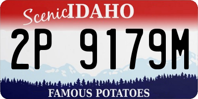 ID license plate 2P9179M